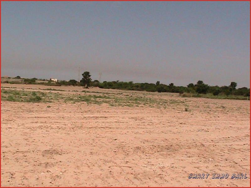 Terrain + papier de bornage - Smart Immo